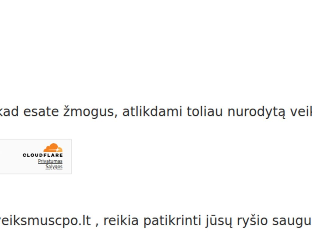 Skaitmeninių sprendimų sistema pirkimų efektyvumui