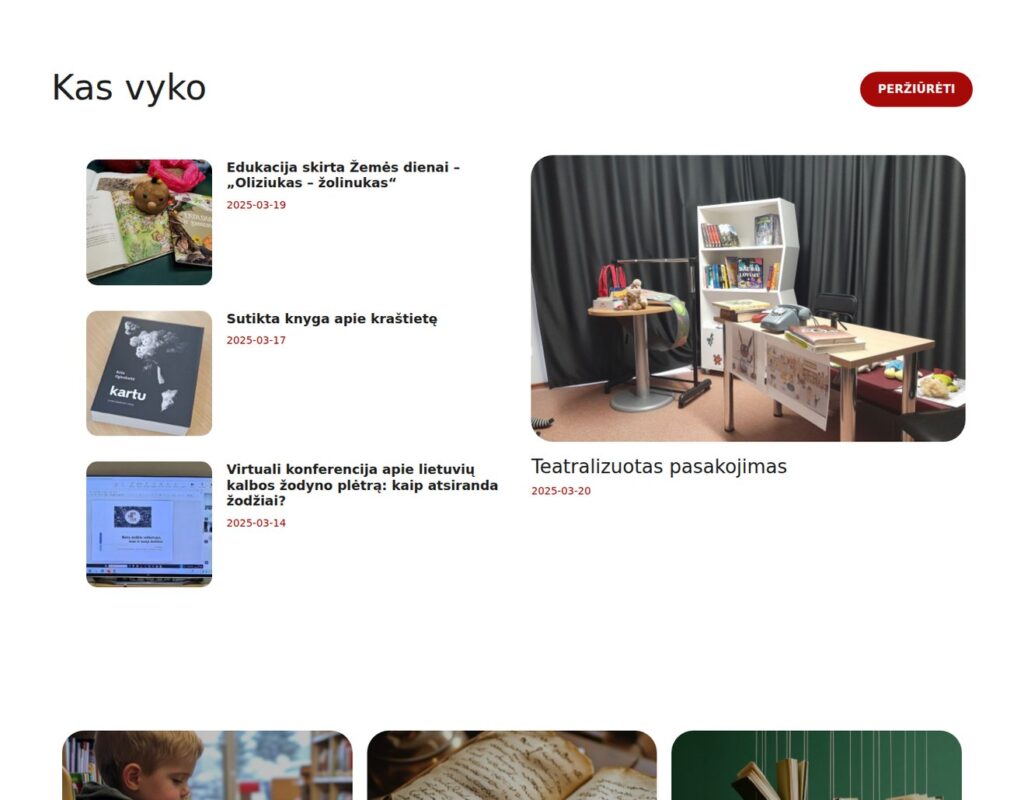 Paslaugų svetainė su informacijos prieinamumu ir dizainu