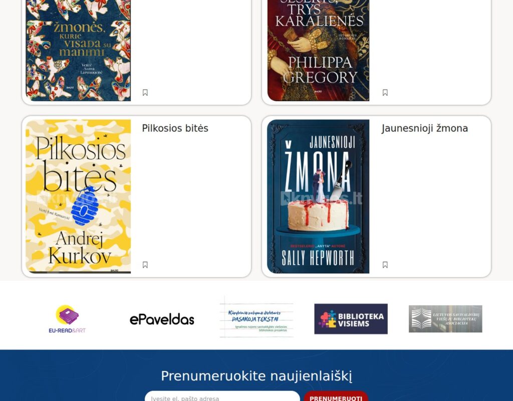 Paslaugų svetainė su informacijos prieinamumu ir dizainu